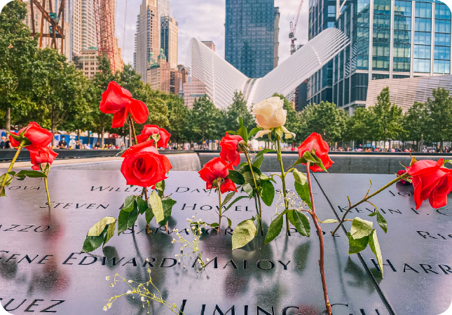 Artboard 9 copy 2@1.5x